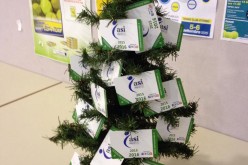 Christmas Tree Challenge
